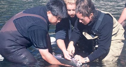 Pacific Salmon Foundation field work