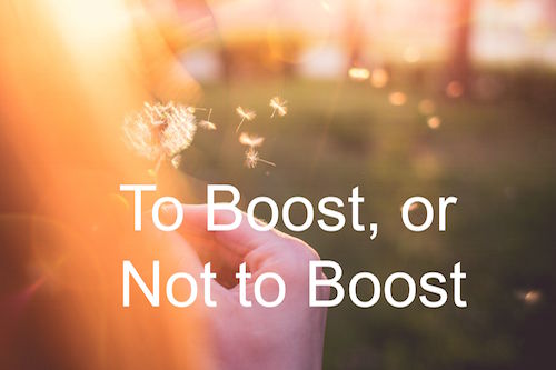 To Boost or Not to Boost: That Is the Great Facebook Question