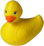 Seeking hot ducks for modelling work